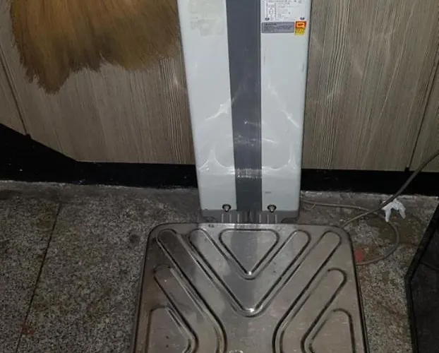Plus